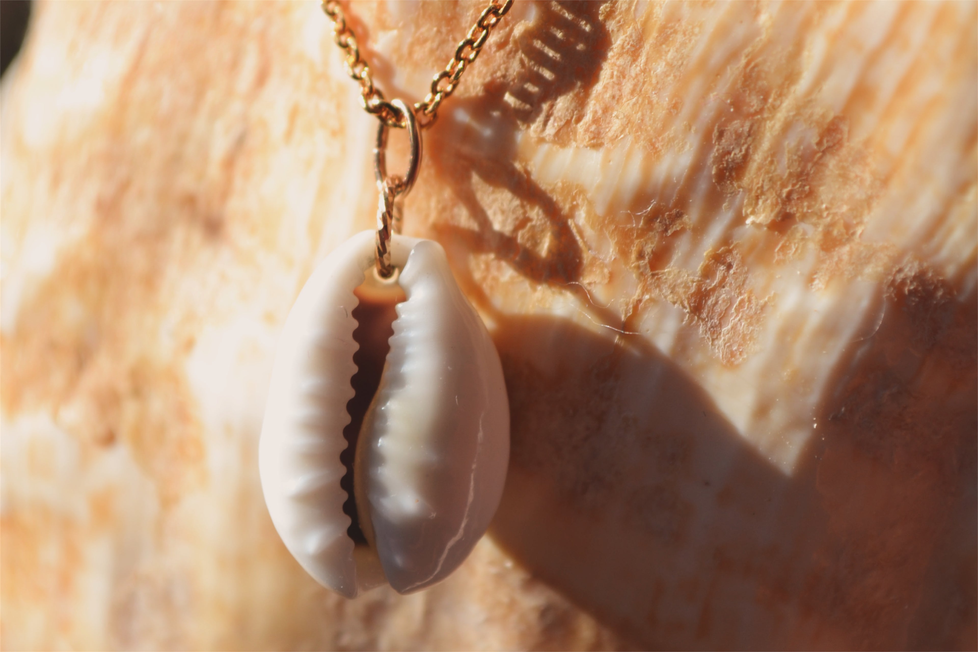 TALISMAN HINA - Cauri de Tikehau Collier (60cm)